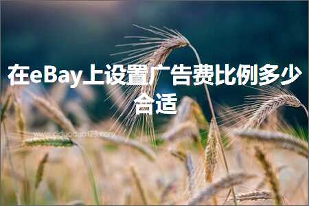 璺ㄥ鐢靛晢鐭ヨ瘑:鍦╡Bay涓婅缃箍鍛婅垂姣斾緥澶氬皯鍚堥€? width=